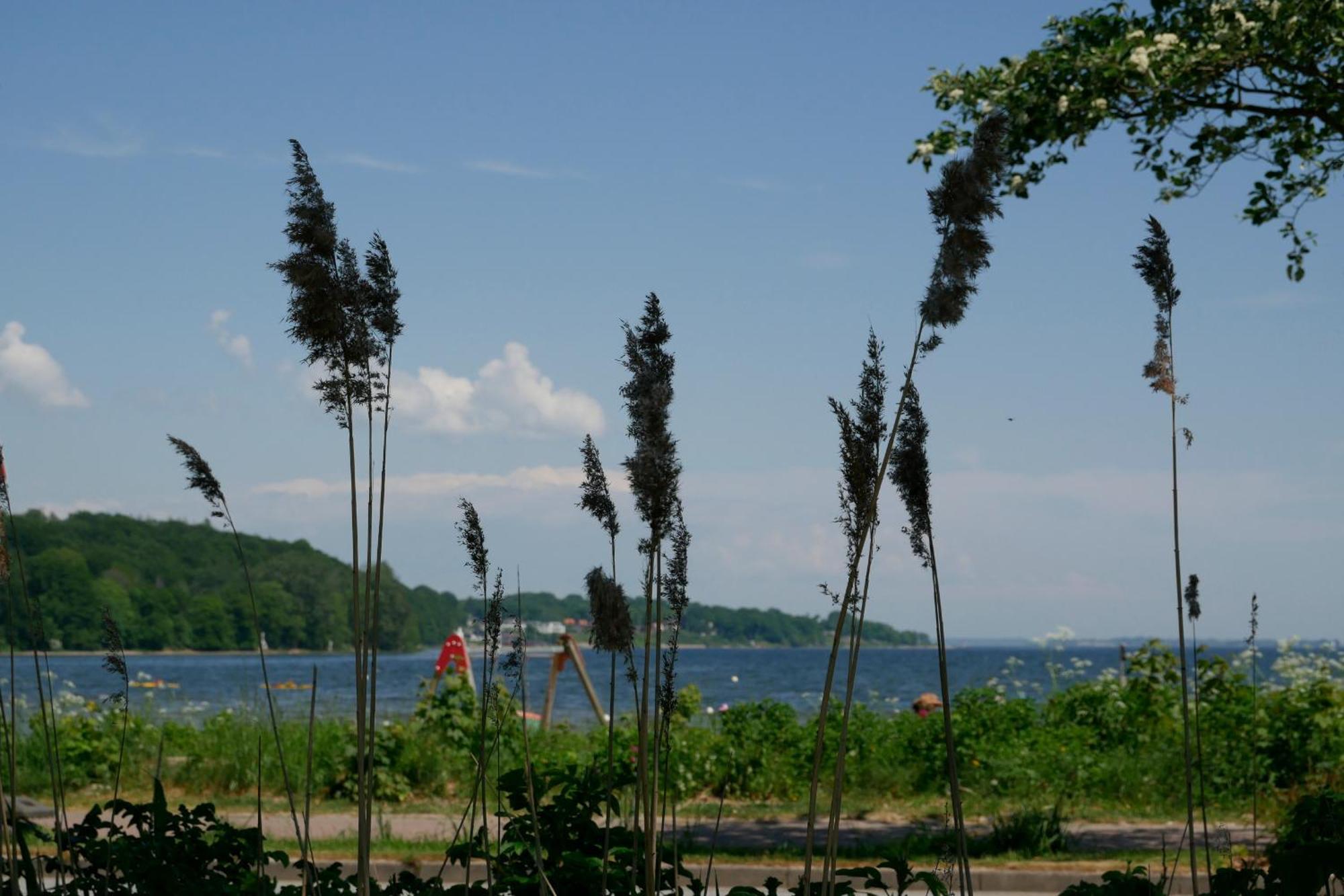 Ostsee, Wunderschoene Wohnung Mit Meerblick Harrislee Exteriör bild